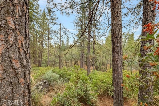 Image 33 of 34 For 10290 Candlewood Way