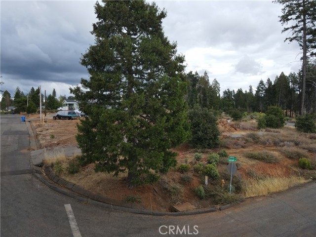 13898 Carver, Magalia CA: https://media.crmls.org/medias/5a474c57-7226-4777-b127-9f7aabdcfe25.jpg