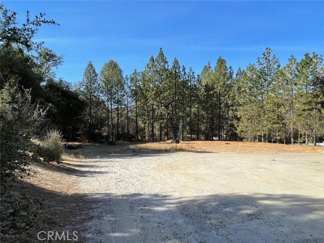 49832 Road 426, Oakhurst CA: https://media.crmls.org/medias/5a47c914-07ad-40f2-af2a-7a645037cf4a.jpg