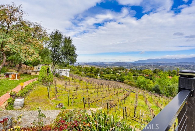 Detail Gallery Image 31 of 55 For 28572 Meadow Mesa Ln, Escondido,  CA 92026 - 4 Beds | 5/1 Baths