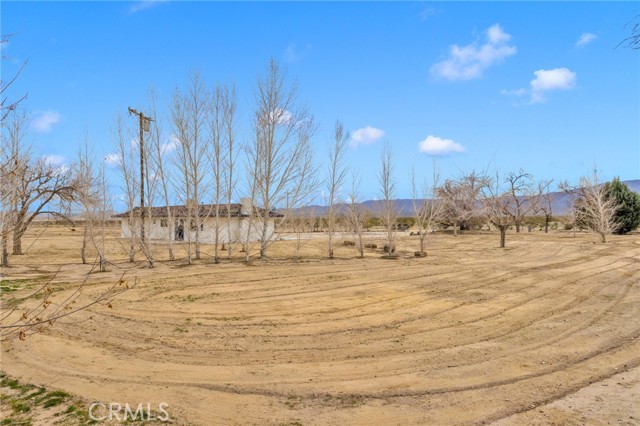 Detail Gallery Image 33 of 69 For 47424 Paddington, Landers,  CA 92285 - 2 Beds | 2 Baths