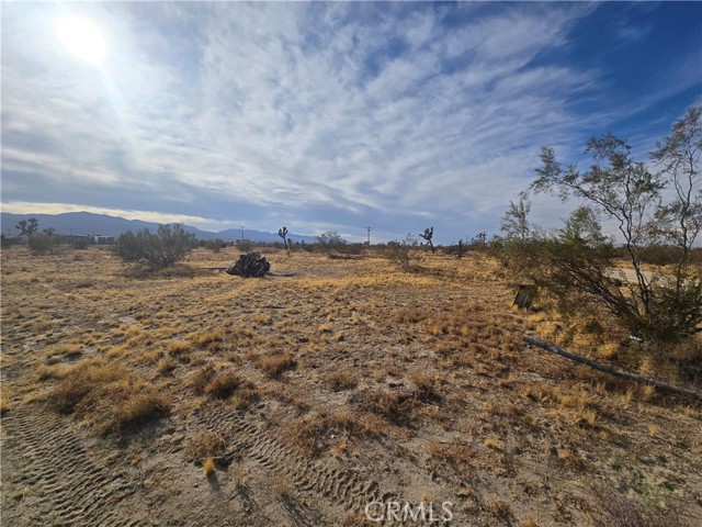 Detail Gallery Image 7 of 8 For 0 263rd Rd, Pinon Hills,  CA 92372 - – Beds | – Baths