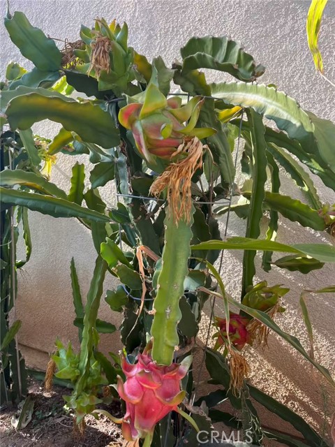 Detail Gallery Image 26 of 30 For 1662 Palermo, Riverside,  CA 92507 - 3 Beds | 2/1 Baths