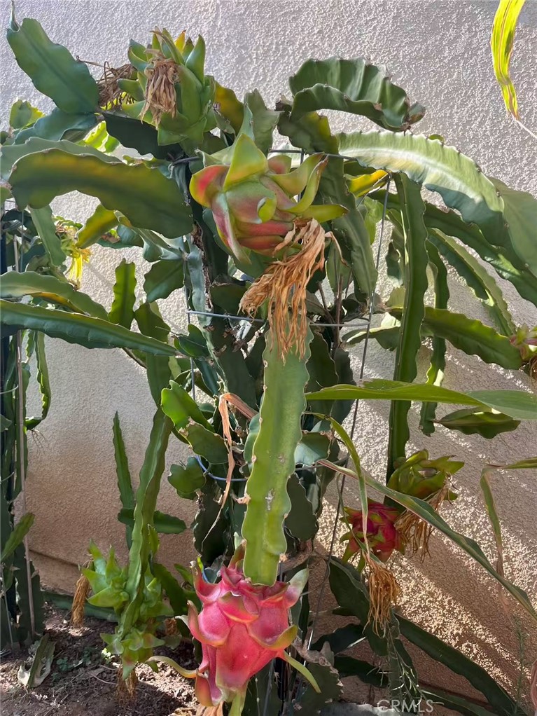 MLS #WS25271554 image #25