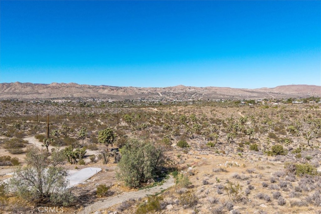 MLS #JT25259485 image #9