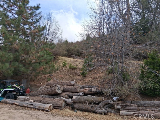 Detail Gallery Image 7 of 8 For 0 Pine Dr, Cedar Glen,  CA 92321 - – Beds | – Baths