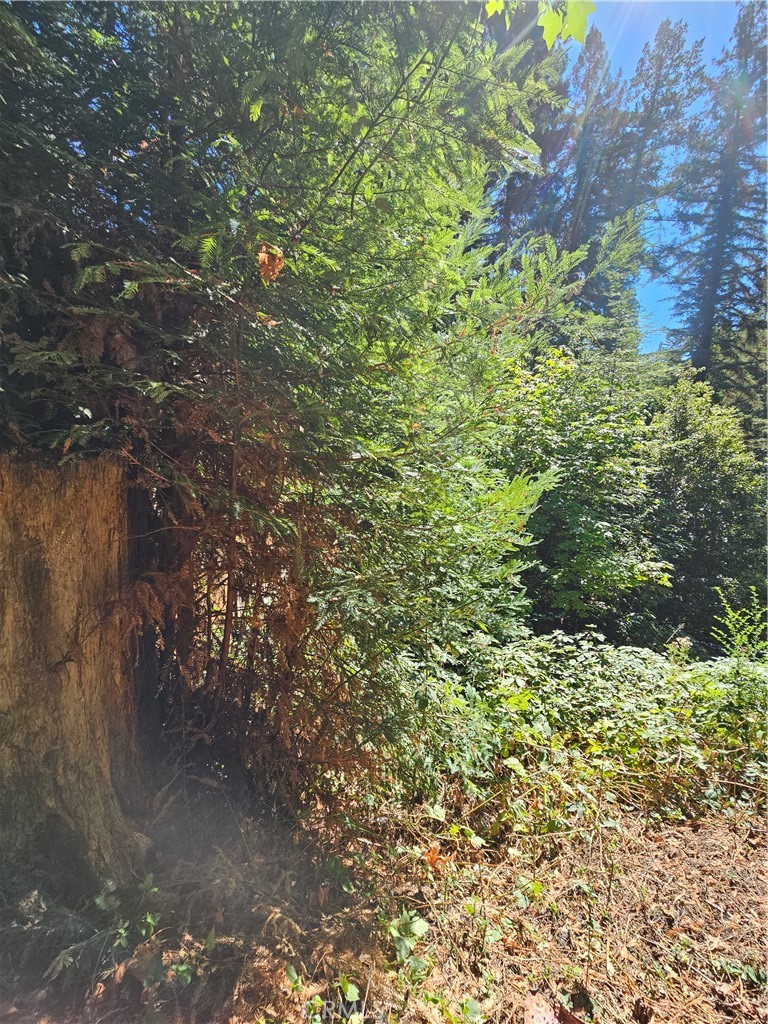 https://media.crmls.org/medias/5a6a6335-87de-4c7d-974e-53a329526841.jpg?preset=X-Large