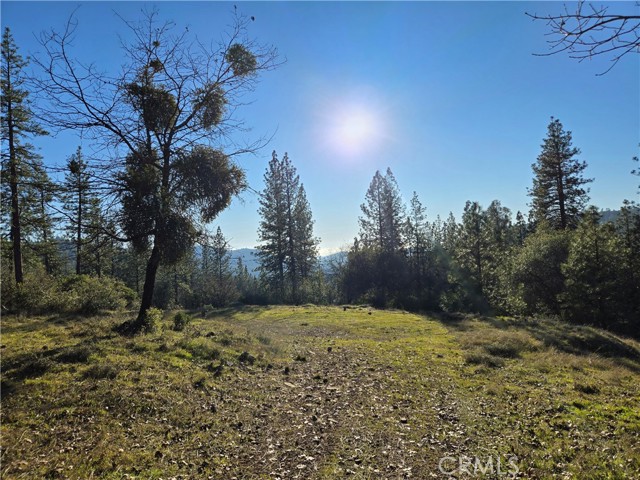 Detail Gallery Image 10 of 34 For 0 Double Eagle Way, Brownsville,  CA 95919 - – Beds | – Baths