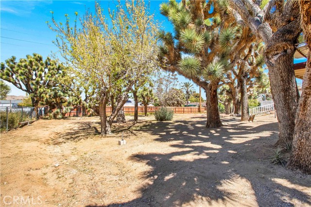 Detail Gallery Image 27 of 53 For 56830 Desert Gold Dr, Yucca Valley,  CA 92284 - 2 Beds | 2 Baths