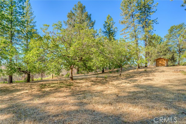 Detail Gallery Image 57 of 66 For 110 Black Bear Rd, Berry Creek,  CA 95916 - 2 Beds | 2 Baths