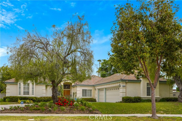 23301 Mariano Street photo 1