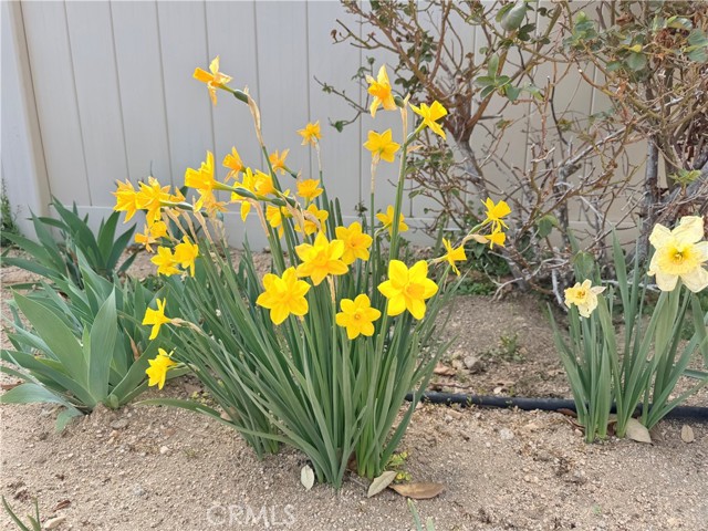 Detail Gallery Image 32 of 34 For 10906 Rockaway Glen, Apple Valley,  CA 92308 - 2 Beds | 2/1 Baths