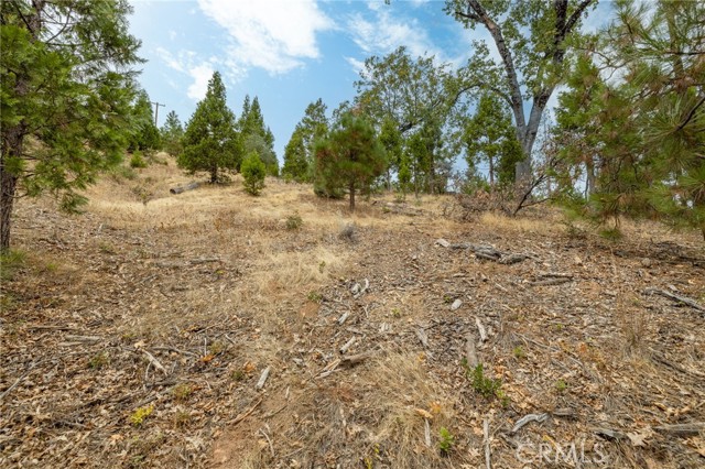 Detail Gallery Image 6 of 55 For 26 Timberview, North Fork,  CA 93643 - – Beds | – Baths