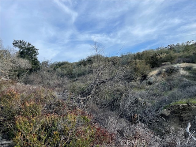 14 Cardinal Rd, Hemet, California 92544, ,Land,For Sale,14 Cardinal Rd,CRSW23205521