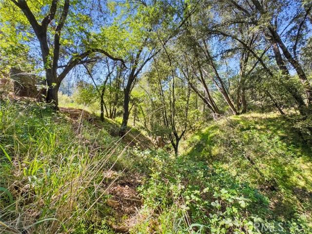 Detail Gallery Image 19 of 42 For 22666 Lower Quail Mine Rd, Sonora,  CA 95370 - 2 Beds | 1 Baths