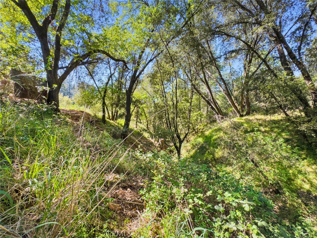 https://media.crmls.org/medias/5a74476c-d2e3-4433-8be9-d63829471218.jpg?preset=X-Large