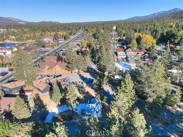 Detail Gallery Image 44 of 47 For 527 Cottage Ln, Big Bear Lake,  CA 92315 - 2 Beds | 1 Baths