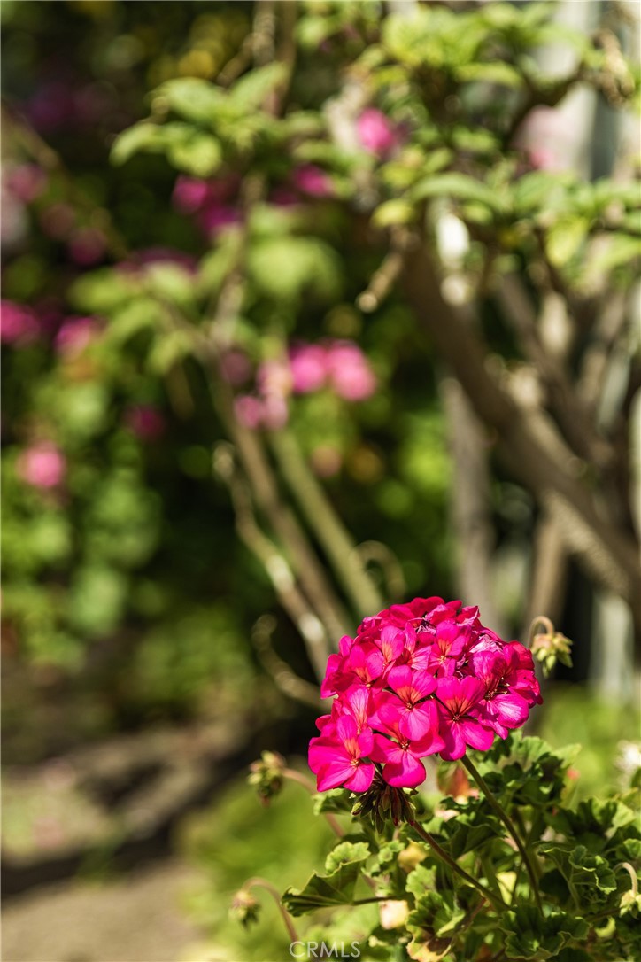 https://media.crmls.org/medias/5a810c34-54af-42c1-90ef-49d5f7764161.jpg?preset=X-Large