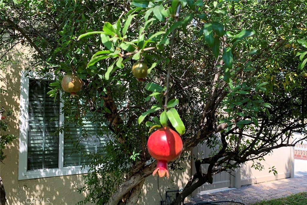 https://media.crmls.org/medias/5a880d08-4da2-480c-9a18-5b5f9bb30093.jpg?preset=X-Large