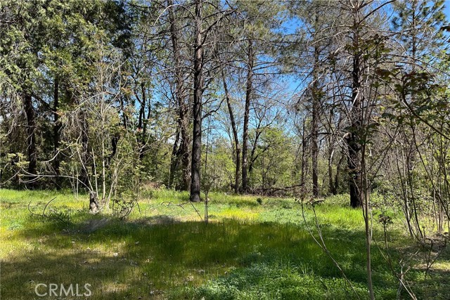 Detail Gallery Image 5 of 29 For 21138 Big Oak Ln, Lakehead,  CA 96051 - – Beds | – Baths