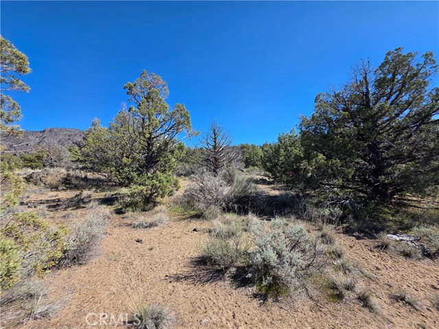 Detail Gallery Image 2 of 14 For 38 Blk 8 Lot 38 Karina Dr, Montague,  CA 96064 - – Beds | – Baths