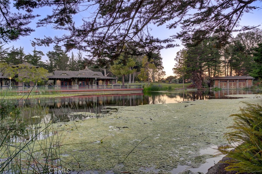 https://media.crmls.org/medias/5a99af0c-4dda-4787-bad0-f75367fe6494.jpg?preset=X-Large