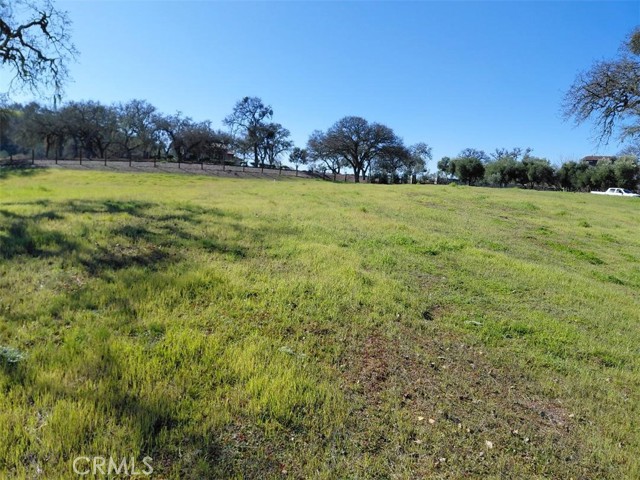 Detail Gallery Image 6 of 16 For 1920 Fire Rock Loop, Templeton,  CA 93465 - – Beds | – Baths