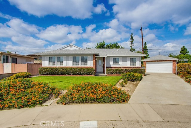 Front Image Thumbnail for CROC26051832