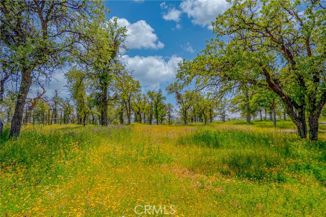 Detail Gallery Image 75 of 75 For 5873 Schilling, Coulterville,  CA 95311 - 2 Beds | 2 Baths