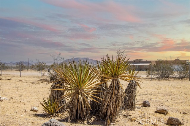 Detail Gallery Image 24 of 24 For 2674 Manana Ave, Joshua Tree,  CA 92252 - – Beds | – Baths