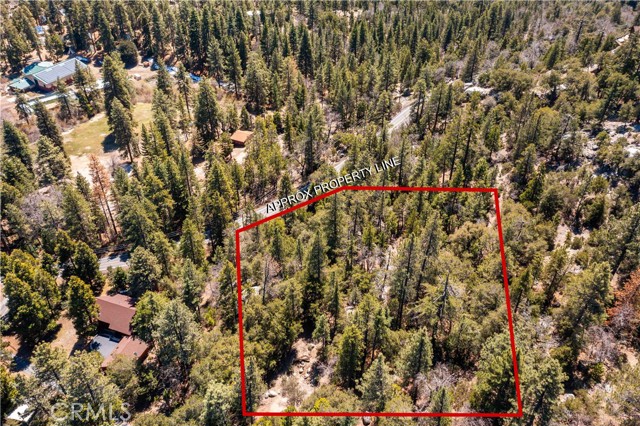 Detail Gallery Image 11 of 29 For 24610 Highway 243, Idyllwild,  CA 92549 - – Beds | – Baths