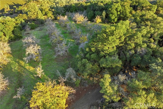 Detail Gallery Image 14 of 14 For 5685 Konocti, Kelseyville,  CA 95451 - – Beds | – Baths