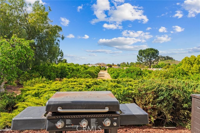 Detail Gallery Image 30 of 47 For 24472 Cornstalk Rd, Wildomar,  CA 92595 - 2 Beds | 2 Baths