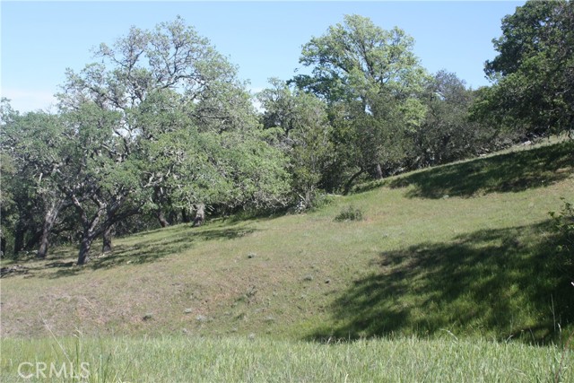 12000 San Marcos Road, Atascadero, California 93422, ,Land,For Sale,12000 San Marcos Road,CRNS22062172