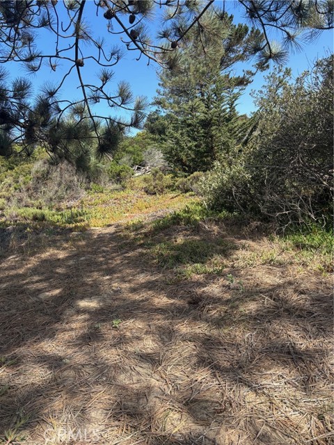 0 Smith Avenue, Oceano CA: https://media.crmls.org/medias/5abd73ca-c4a6-4049-a359-acefc0b9a3ca.jpg