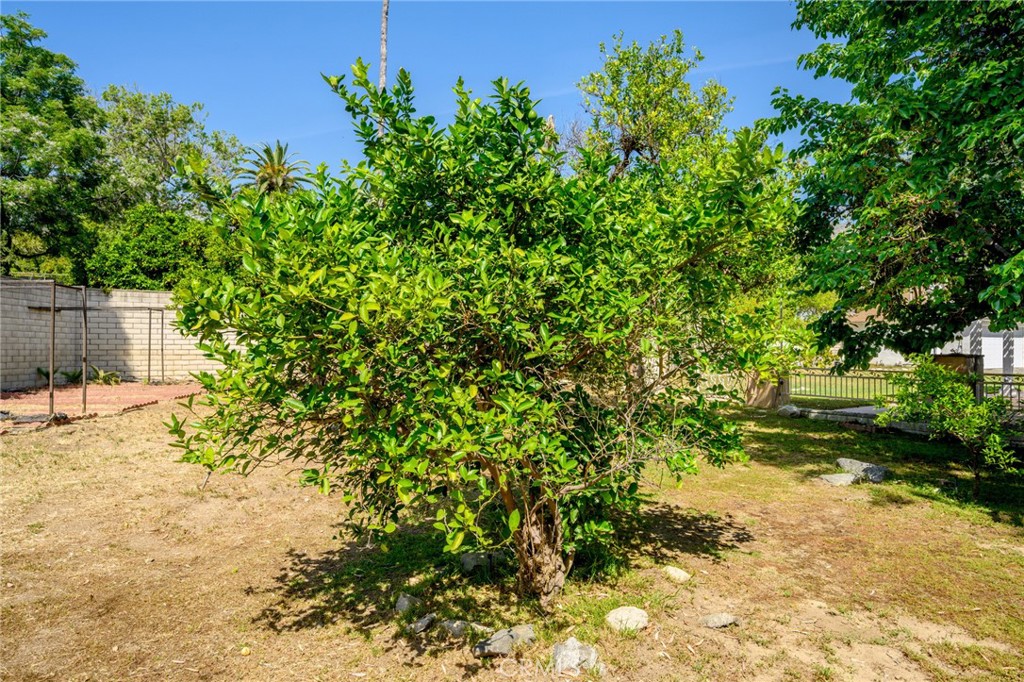 https://media.crmls.org/medias/5abf7e6f-e7b9-471a-90da-b551a56a2615.jpg?preset=X-Large