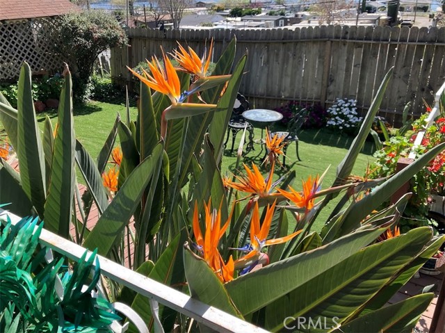 Detail Gallery Image 5 of 41 For 9495 Glenhaven, Glenhaven,  CA 95443 - 2 Beds | 1 Baths