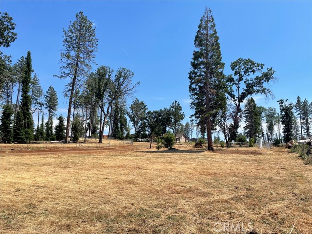 676 Meyers Lane, Paradise, California 95969, ,Land,For Sale,676 Meyers Lane,CRSN23106927