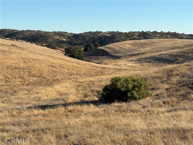 3 Maverick, Paso Robles CA: https://media.crmls.org/medias/5ac9d0d3-2f30-4c95-85f6-f4c76d515094.jpg