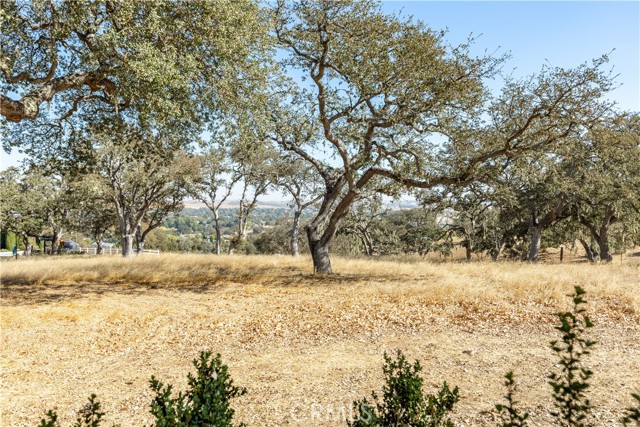 Detail Gallery Image 70 of 75 For 1630 Cumbre Rd, Paso Robles,  CA 93446 - 3 Beds | 4/1 Baths