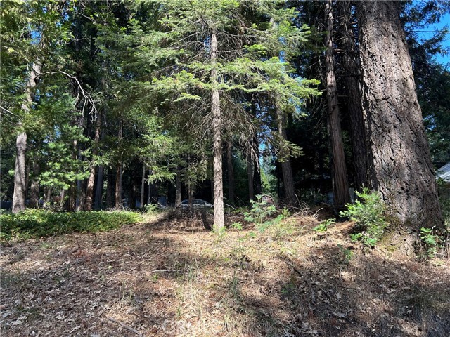 Front Image Thumbnail for CRPA26141068