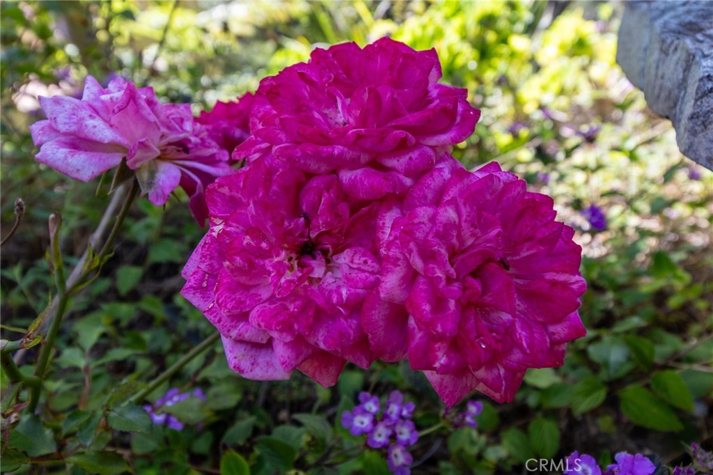 https://media.crmls.org/medias/5ad79fdf-9a69-4306-b889-0970c59baee3.jpg?preset=X-Large