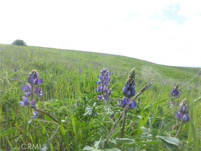 Detail Gallery Image 44 of 75 For 0 Yosemite Pl, Paso Robles,  CA 93446 - – Beds | – Baths