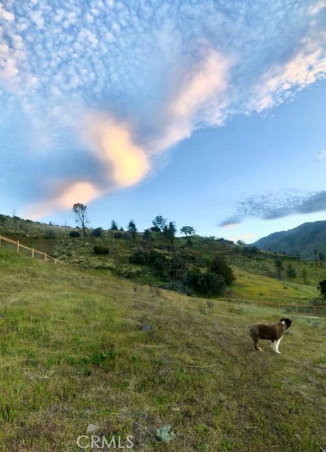 Detail Gallery Image 17 of 59 For 3712 Piute Hill Rd, –,  CA 93240 - – Beds | – Baths