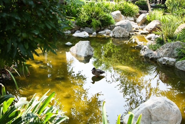 Detail Gallery Image 15 of 21 For 21820 Marylee St #225,  Woodland Hills,  CA 91367 - 3 Beds | 2/1 Baths