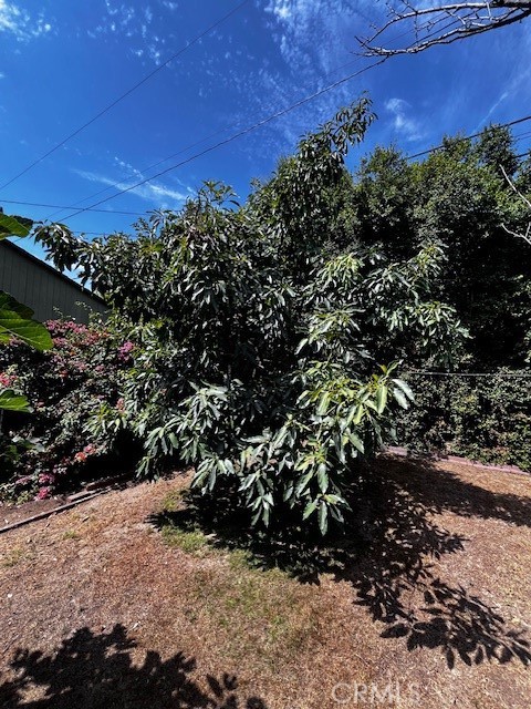 Detail Gallery Image 9 of 32 For 1015 Bilton Way, San Gabriel,  CA 91776 - 3 Beds | 1 Baths