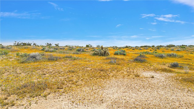 Detail Gallery Image 13 of 16 For 7 Near Powerline Rd, Boron,  CA 93516 - – Beds | – Baths