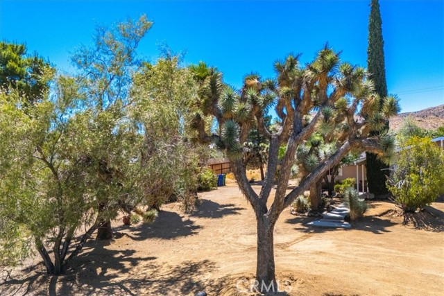 Detail Gallery Image 34 of 63 For 56469 Carlyle Dr, Yucca Valley,  CA 92284 - 2 Beds | 1 Baths