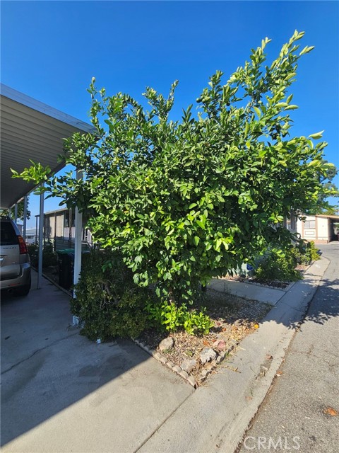 24414 University Avenue, Loma Linda CA: https://media.crmls.org/medias/5aea31b8-860d-4535-bb45-e53c970ffbc1.jpg
