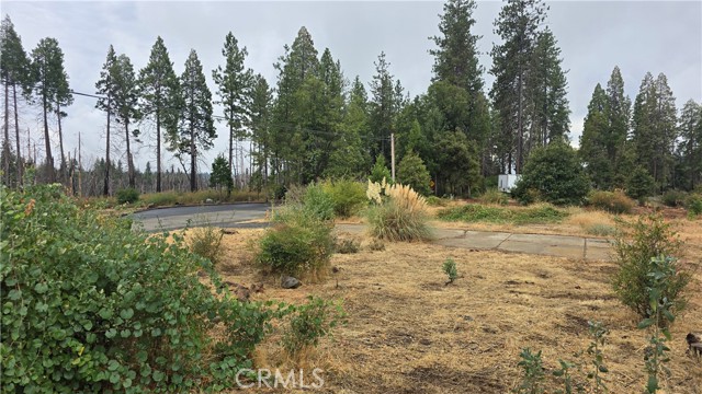 Detail Gallery Image 3 of 9 For 6167 Ponderosa, Magalia,  CA 95954 - – Beds | – Baths